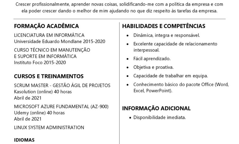 Currículo Sem Experiência: Veja o que colocar (com modelo)