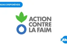 Program Manager