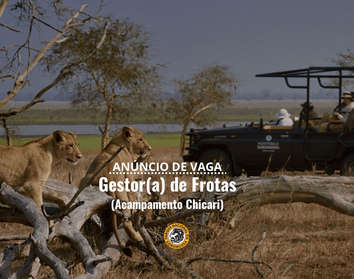 Vaga – Gestor (a) de Frotas