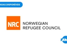 Shelter and Wash Coordinator