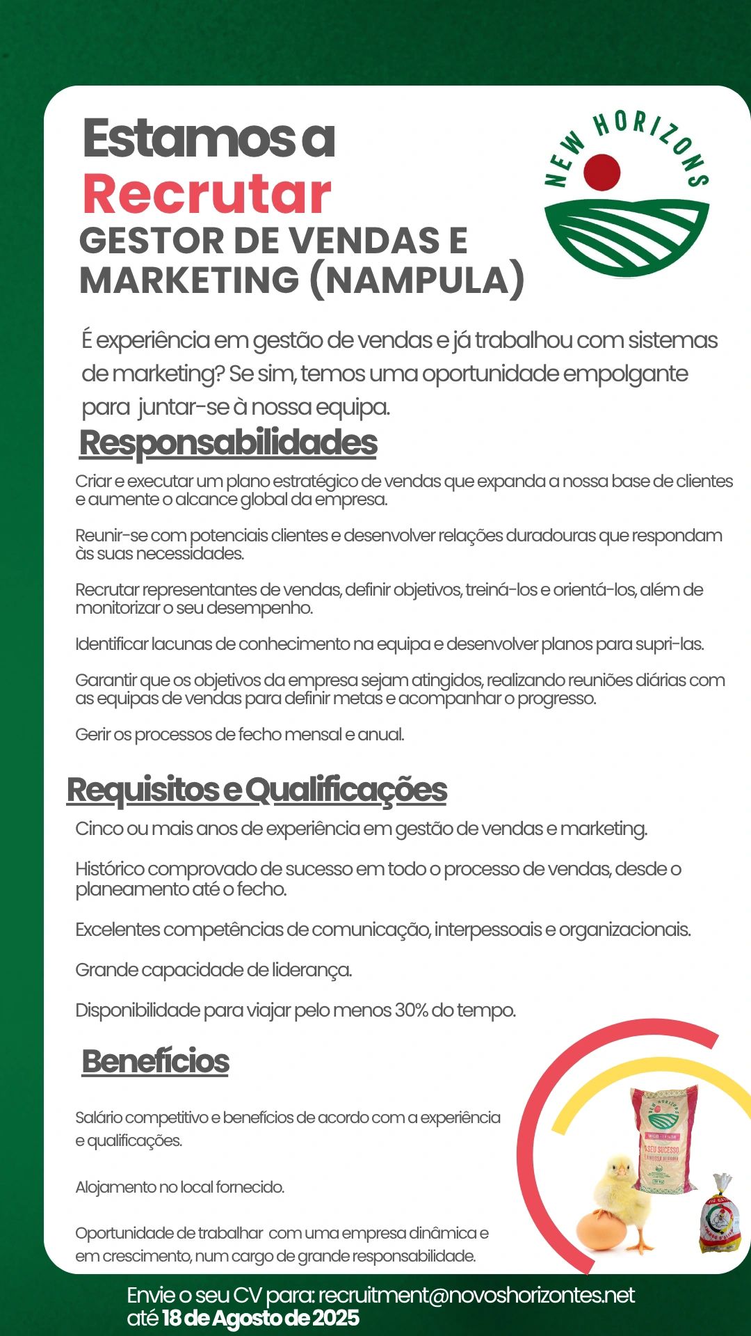 Vaga – GESTOR DE VENDAS E MARKETING (NAMPULA)