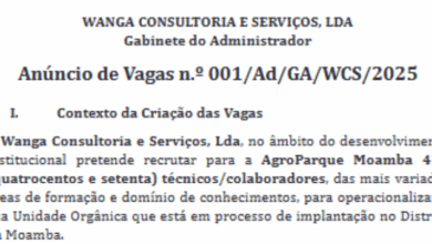 A Wanga Consultoria e Serviços Abre (470)  Vagas para Técnicos/Colaboradores
