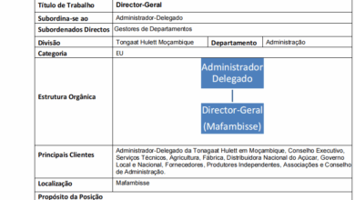 Vaga – Director-Geral