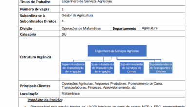 Vaga – Engenheiro(a) de Serviços