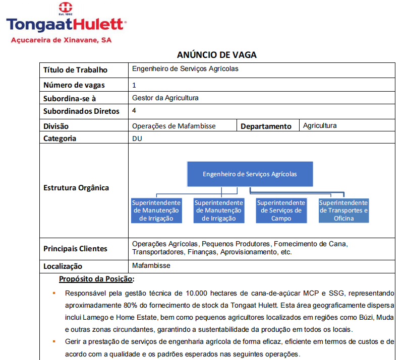 Vaga – Engenheiro(a) de Serviços