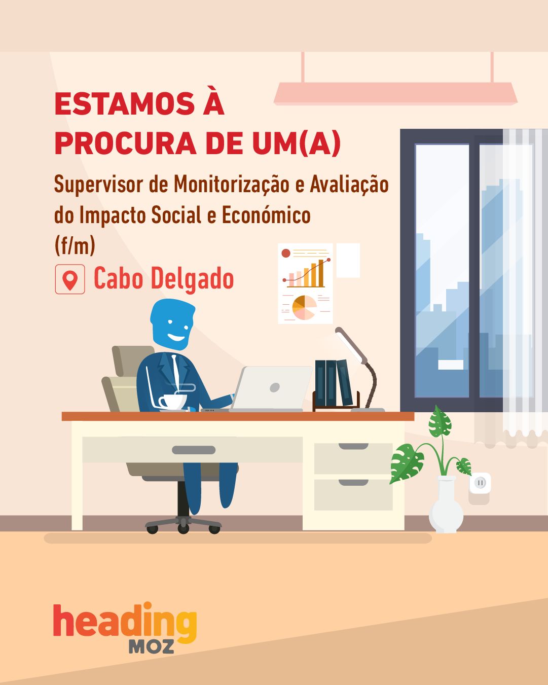 Vaga – Supervisor de Monitoramento e Avaliação de Impacto Social e Económico, em Cabo Delgado