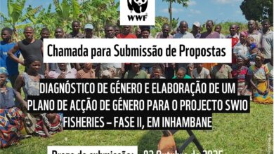 WWF está à procura de consultores Qualificados