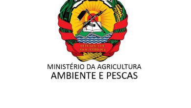 Concurso Público: 351 Vagas para Fiscais de Guardas Florestais e Fauna Bravia