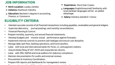 VAGA – ACCOUNTS AND FINANCE MANAGER
