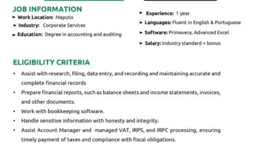 Vaga – ACCOUNTING INTERSHIP