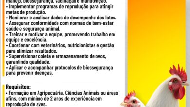 Vaga – Assistente de Gestor – Área de Reprodutoras de Frango de Corte (Breeders)