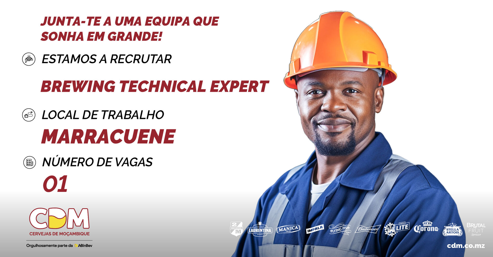 Vaga – Brewing Technical Expert