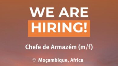 Vaga – Chefe de Armazém (m/f)