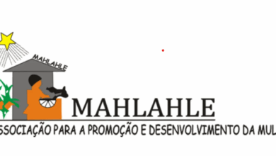 Vaga – Consultor(a)