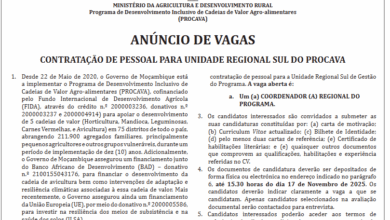 Vaga – Coordenador (a) Regional Do Programa