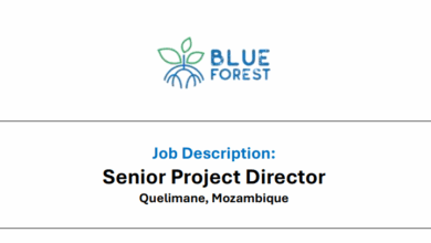 Vaga – Senior Project Director – Quelimane