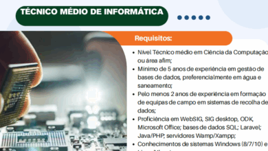Vaga – Técnico Médio de Informática – Maputo