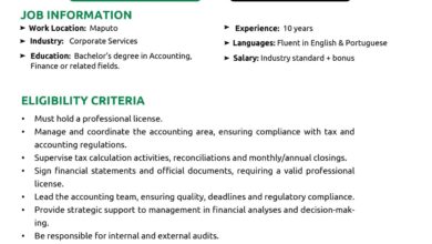 VAGA – SENIOR ACCOUNTANT MANAGER