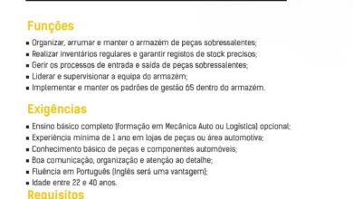 Vaga – (2) Gestor de Armazém de Peças – Maputo
