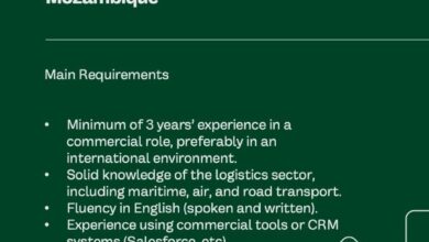 Vaga – Commercial & Pricing Executive (International Logistics)