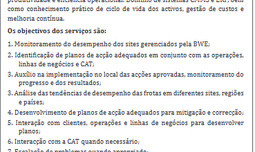 Vaga – Gerente de Desempenho de Site