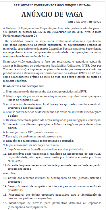 Vaga – Gerente de Desempenho de Site