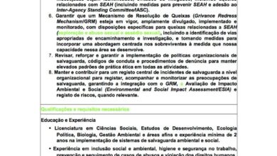 Vaga – Oficial de Equidade, Direitos e Proteção Social – Nampula