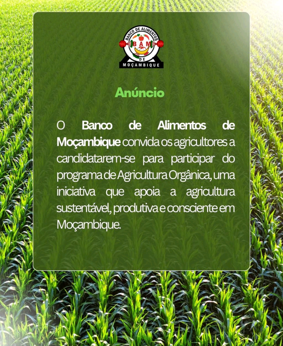 Vagas – (05) Agricultores Orgânicos