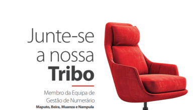 Vagas – (7) Membros da Equipa de Gestão de Numerário