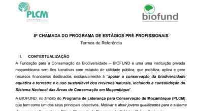 8ª Edição do Programa de Estágios Pré-profissionais do PLCM