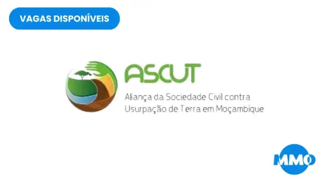 Consultor para Análise do PESOE 2026 (no Sector Agrário)