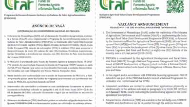 Vaga – Coordenador Nacional do Procava