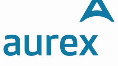 Aurex anuncia (28) oportunidades de emprego para futuros projectos no sector de petróleo e gás em Moçambique