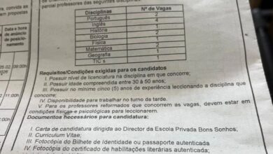 Recrutamento de (14) Professores em Regime de Tempo Parcial – Escola Privada Bons Sonhos