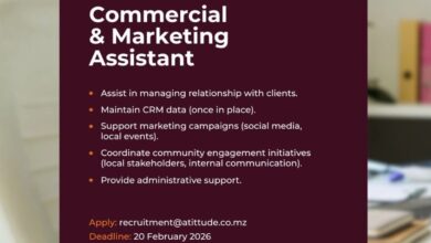 Vaga – Commercial & Marketing Assistant