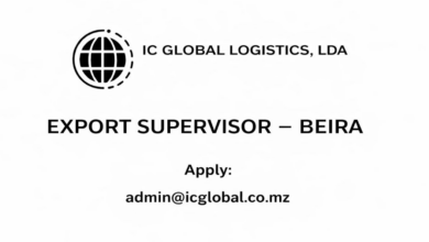Vaga – Export Supervisor