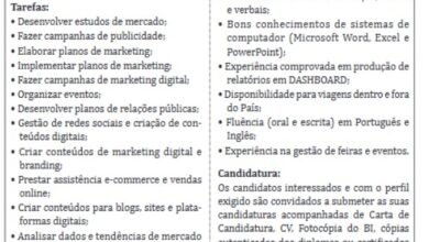Vaga – Técnico Sénior de Comunicação e Marketing