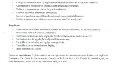 Vaga – Técnico de Ambiente