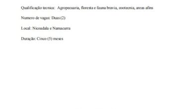 Vagas de Estágio – (02) Técnicos Agropecuários (m/f)
