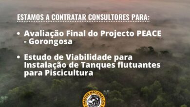 O Parque Nacional da Gorongosa está à procura de consultores para dois projectos