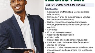 Vaga – Gestor Comercial e de Vendas