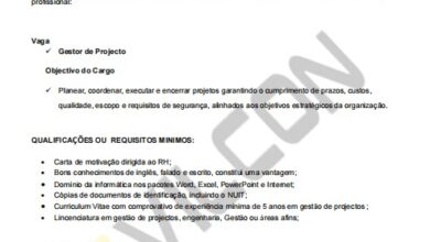 Vaga  – Gestor de Projecto