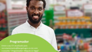 Vaga – Programador
