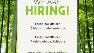 Vaga – Technical Officer