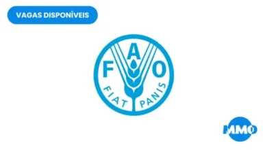Vaga na FAO: Data and Information Specialist - MMO Emprego 2026