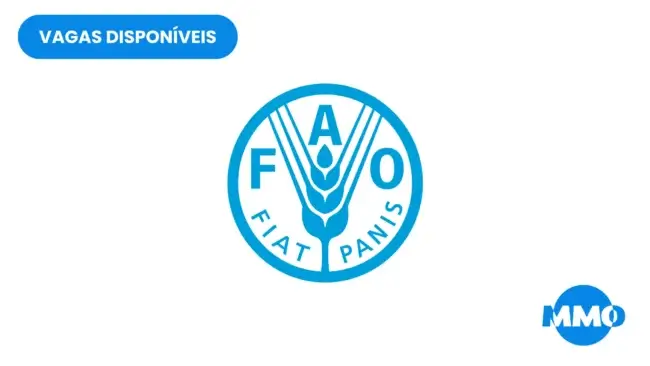 Vaga na FAO: Data and Information Specialist - MMO Emprego 2026